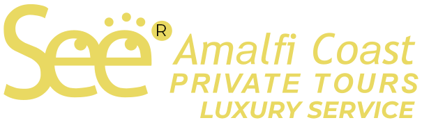 seeamalficoastprivatetours.com