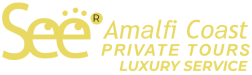 seeamalficoastprivatetours.com
