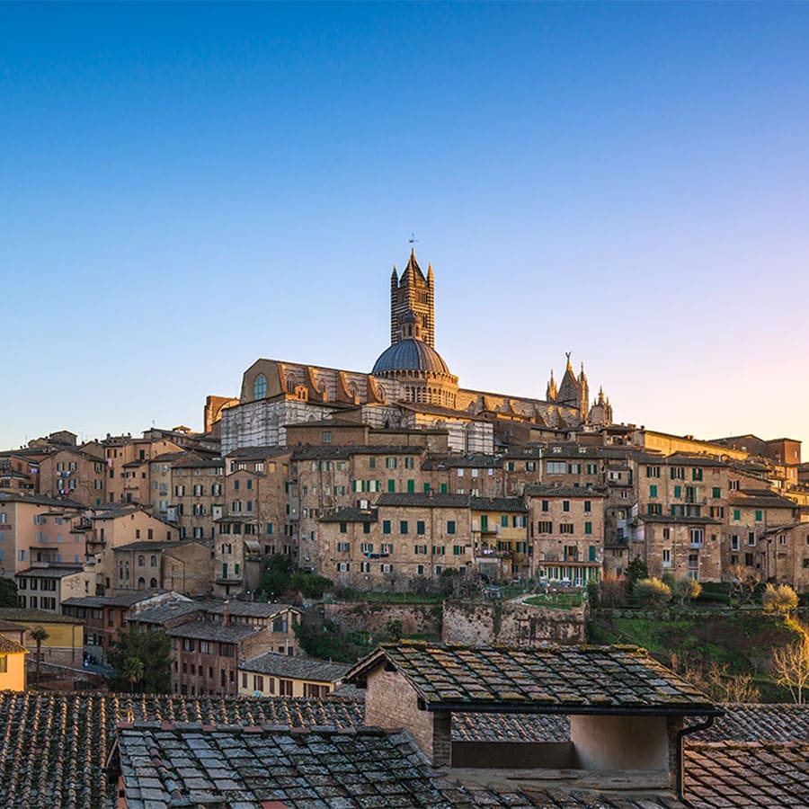 Top Rated Siena Tours