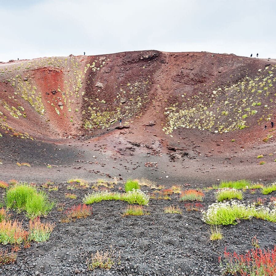 Etna Wineries Tour and Silvestri Craters Discovering