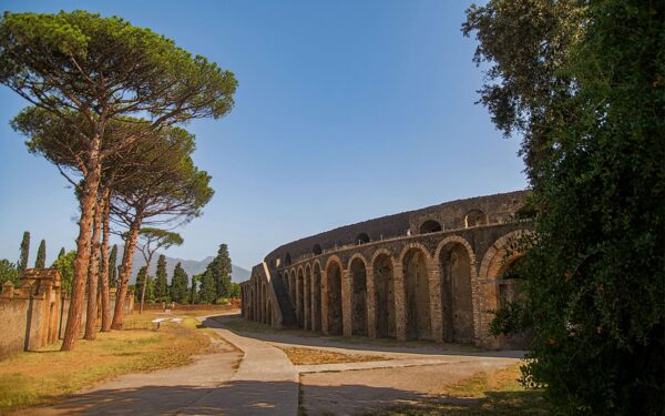 Guided Pompeii tour including round trip transfer from Naples