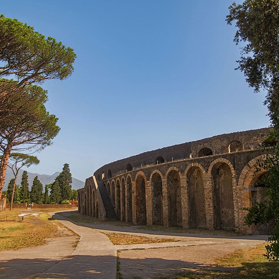 Guided Pompeii tour including round trip transfer from Naples