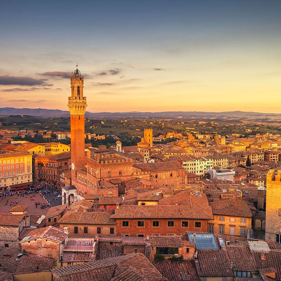 Siena and San Gimignano tour from port