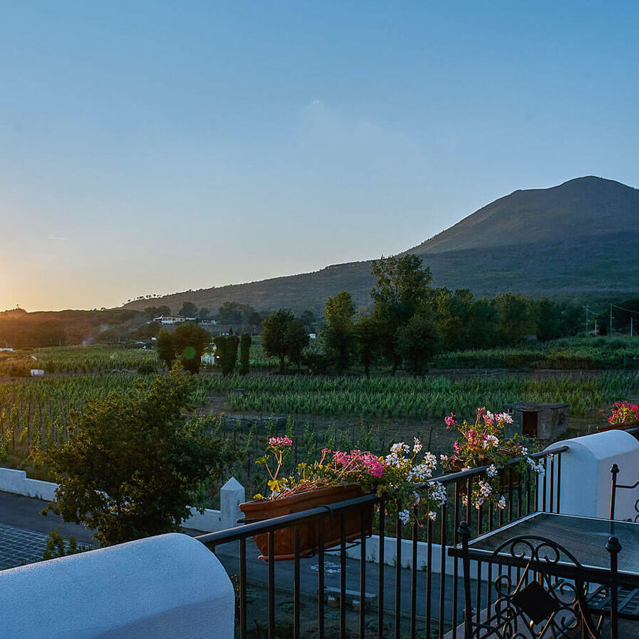 Pompeii, Winery & Herculaneum All-Inclusive