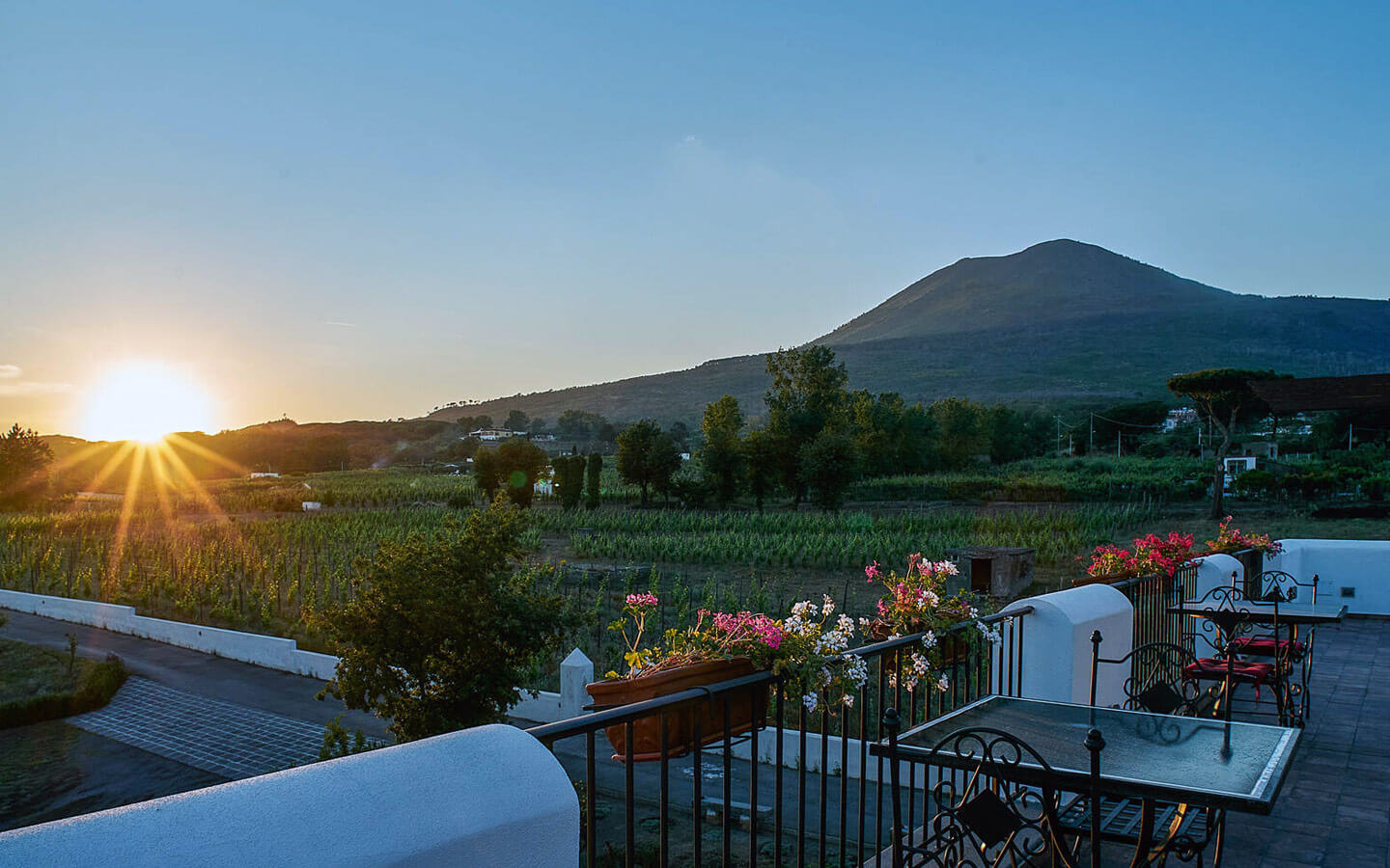 Pompeii, Winery & Herculaneum All-Inclusive