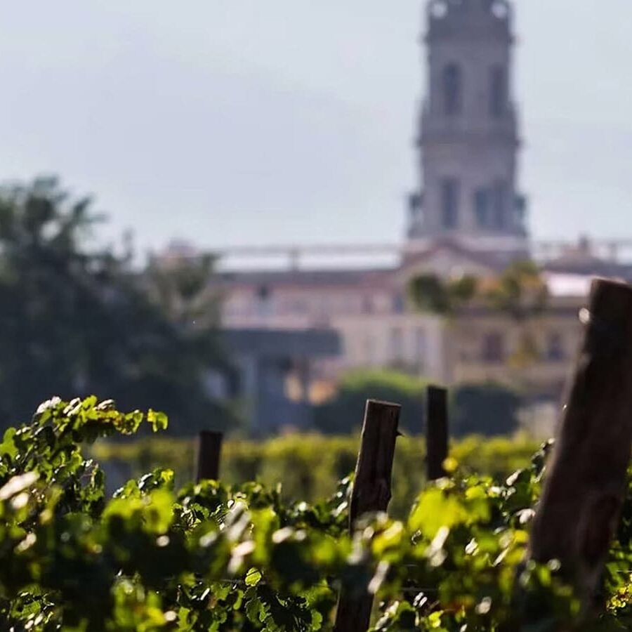 Pompeii, Winery & Naples All-Inclusive