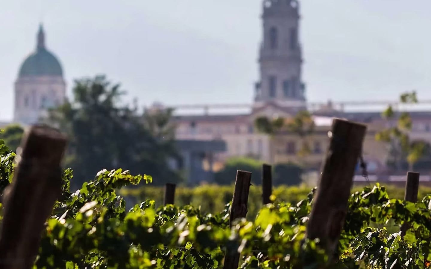 Pompeii, Winery & Naples All-Inclusive