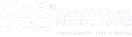 seeamalficoastprivatetours.com
