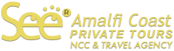 seeamalficoastprivatetours.com